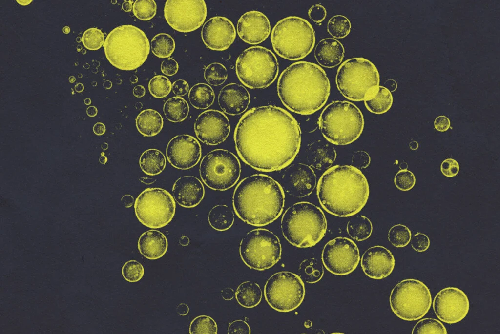 E3934_05.jpg E3934_05.jpg