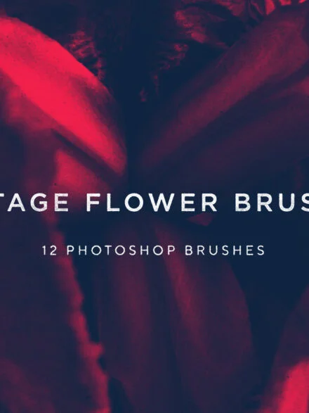 Vintage Flower Brushes Graphics - Image 2