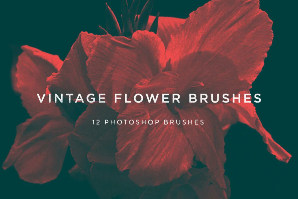 E3935_03.jpg E3935_03.jpg