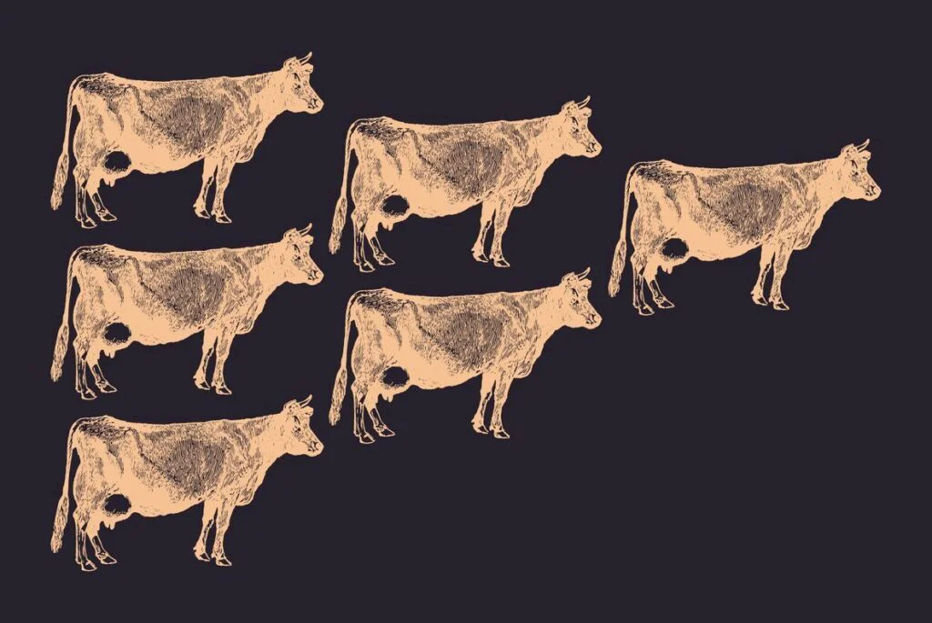 E3948_02.jpg E3948_02.jpg