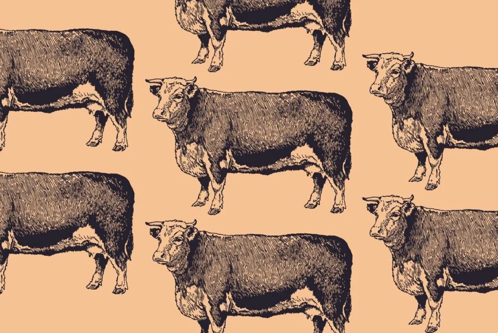 E3948_04.jpg E3948_04.jpg