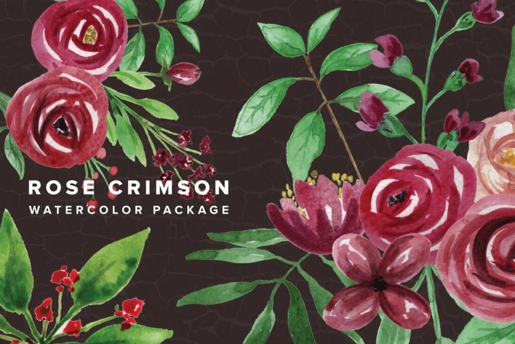 E3955_00.jpg E3955_00.jpg