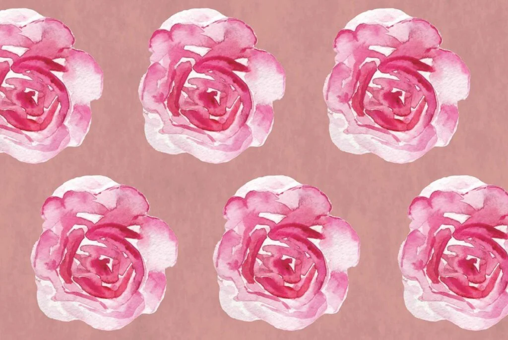 E3980_02.jpg E3980_02.jpg