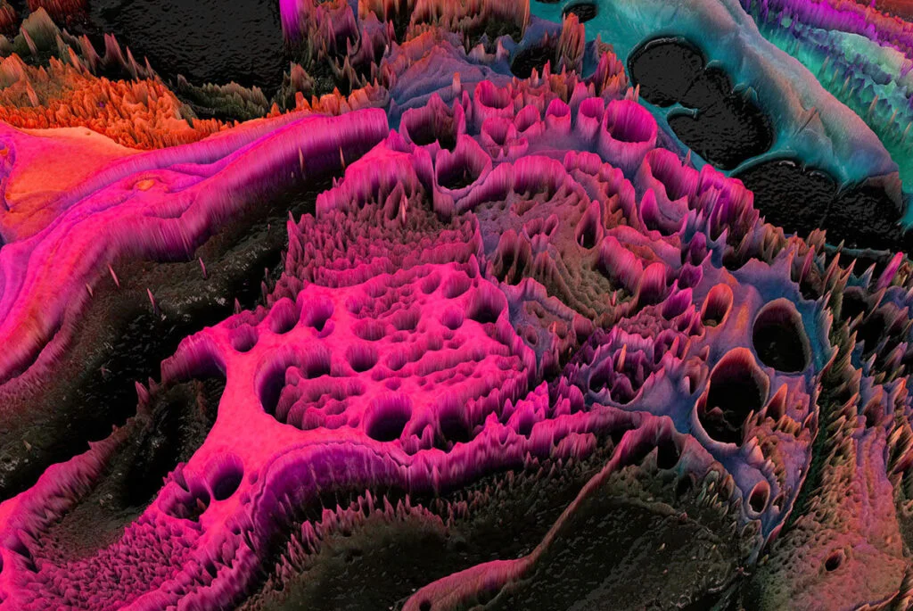 E4098_05.jpg E4098_05.jpg