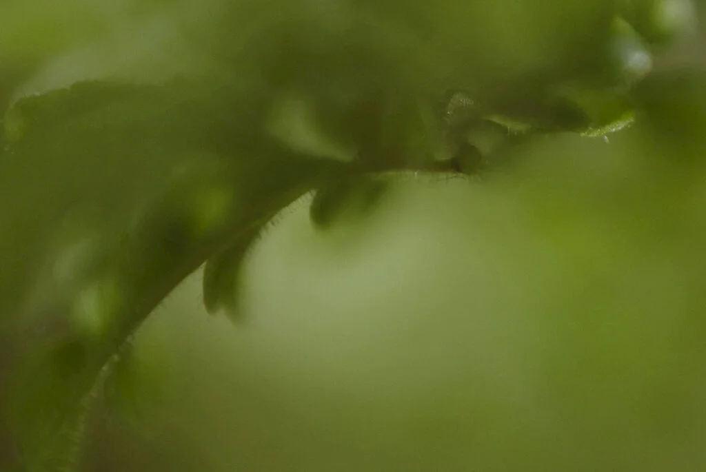 E4119_02.jpg E4119_02.jpg