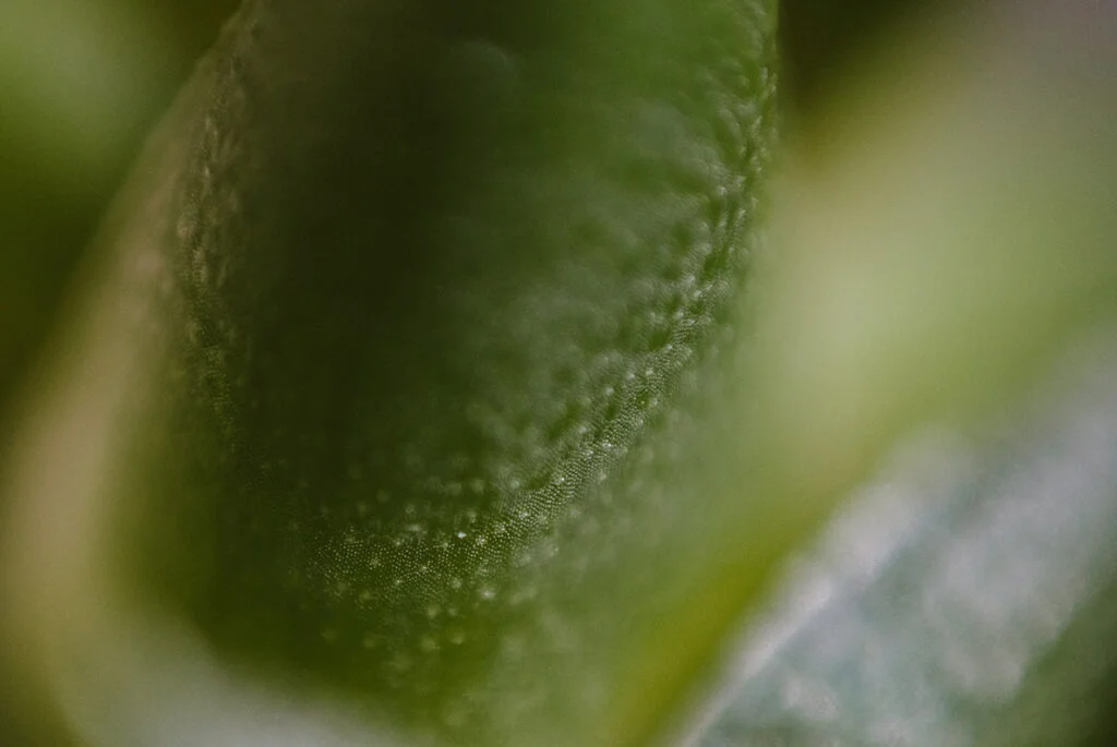 E4119_05.jpg E4119_05.jpg