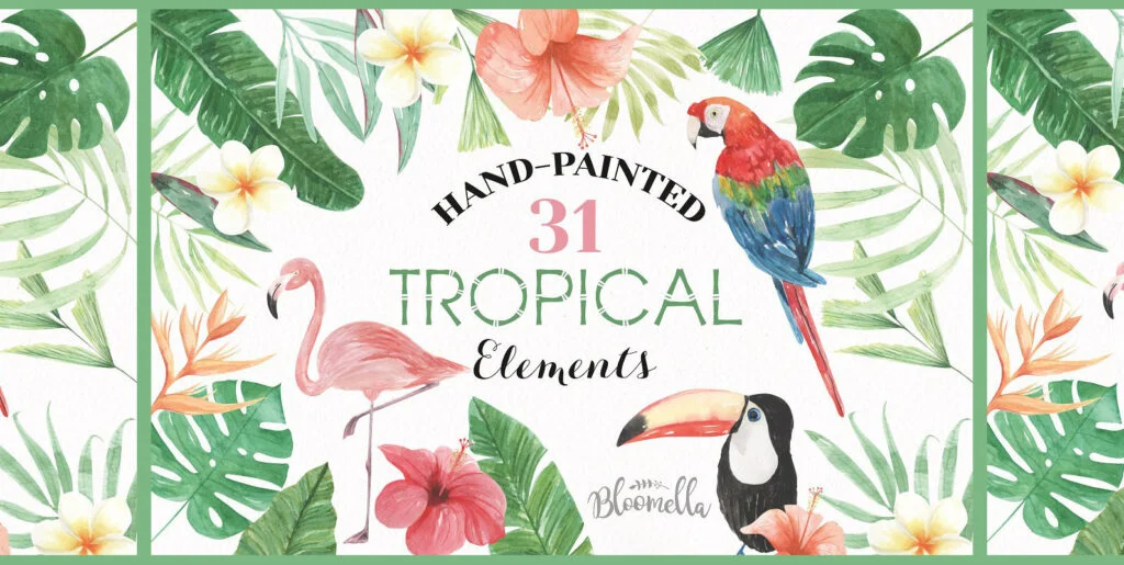 Tropical Elements Watercolor Package Graphics - Image 1