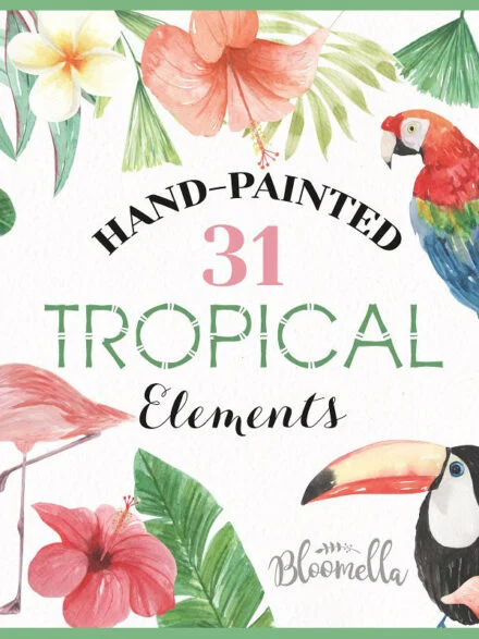 Tropical Elements Watercolor Package Graphics - Image 1