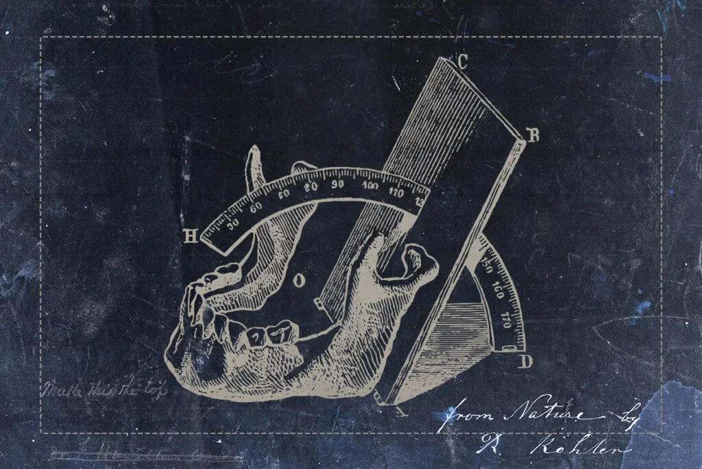 E4161_01.jpg E4161_01.jpg