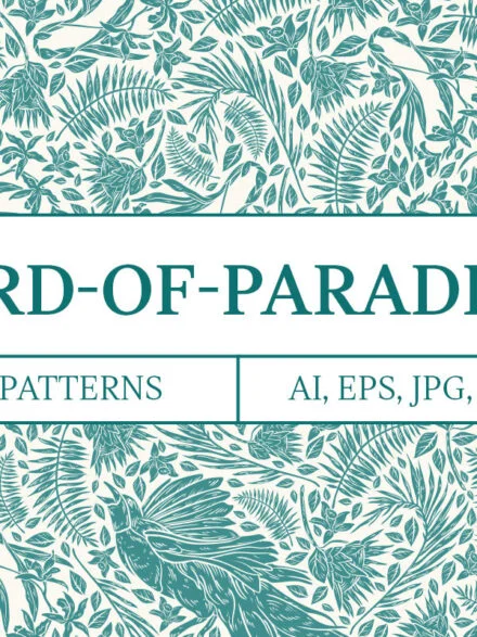Bird of Paradise Patterns Graphics - Image 11