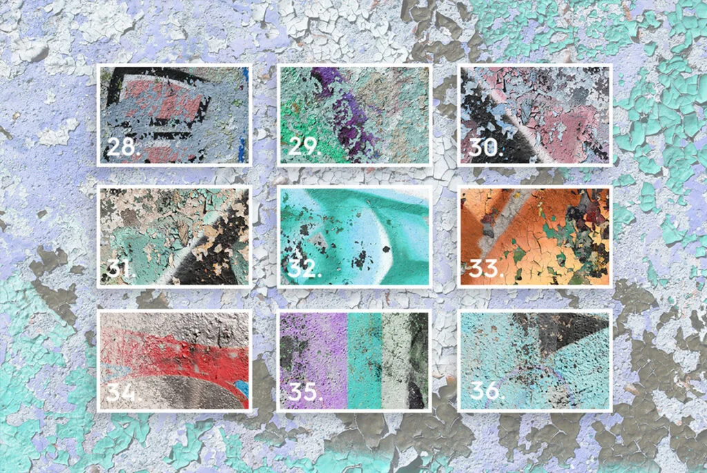 E4205_04.jpg E4205_04.jpg