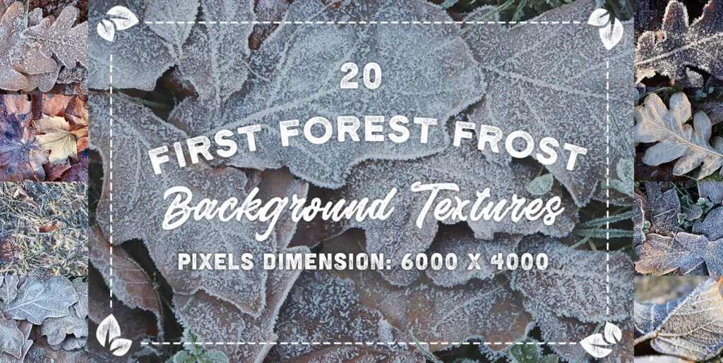 20 First Forest Frost Backgrounds Graphics - Image 1