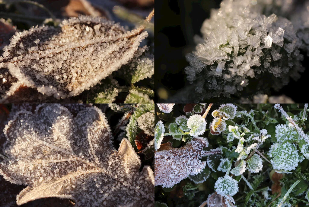 E4213_03.jpg E4213_03.jpg