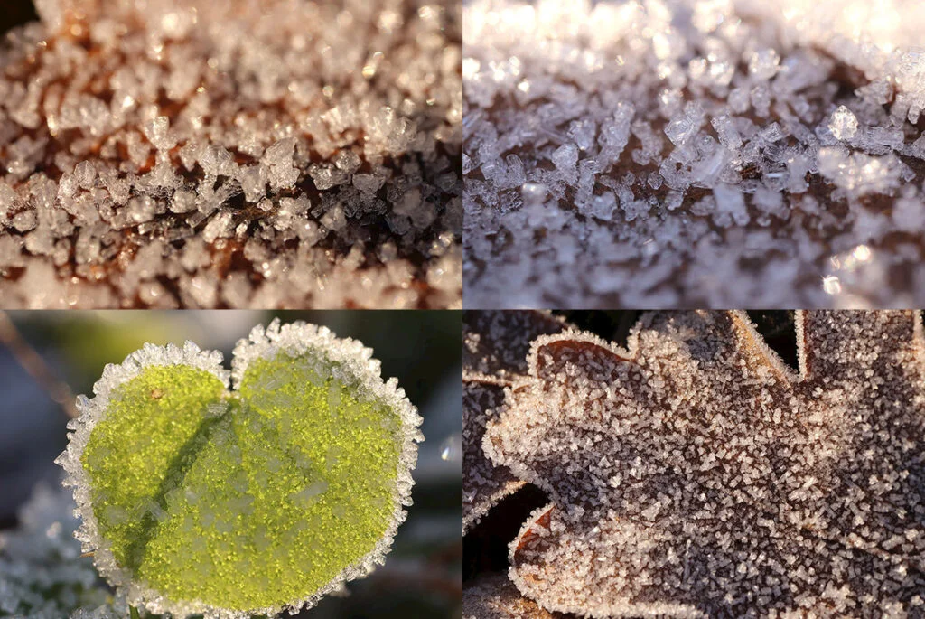 E4213_04.jpg E4213_04.jpg