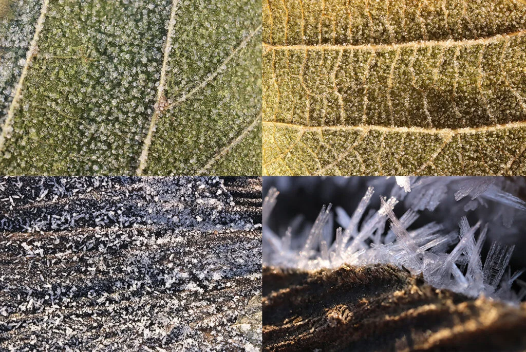 E4213_05.jpg E4213_05.jpg