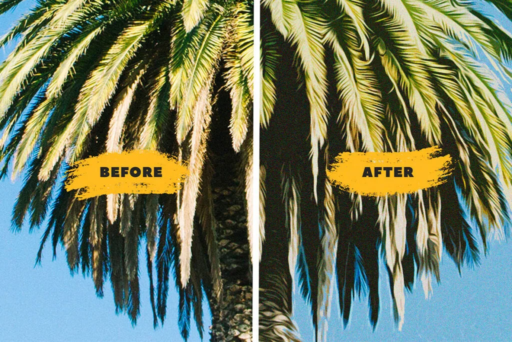 E4345_01.jpg E4345_01.jpg