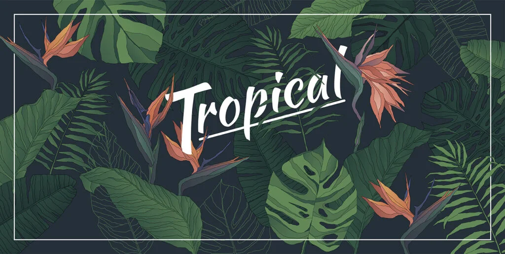 Tropical Set Graphics - Image 1