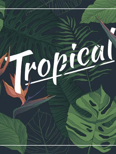 Tropical Set Graphics - Image 6