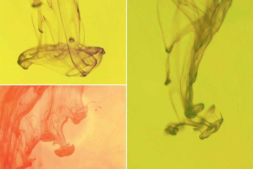 E4383_01.jpg E4383_01.jpg