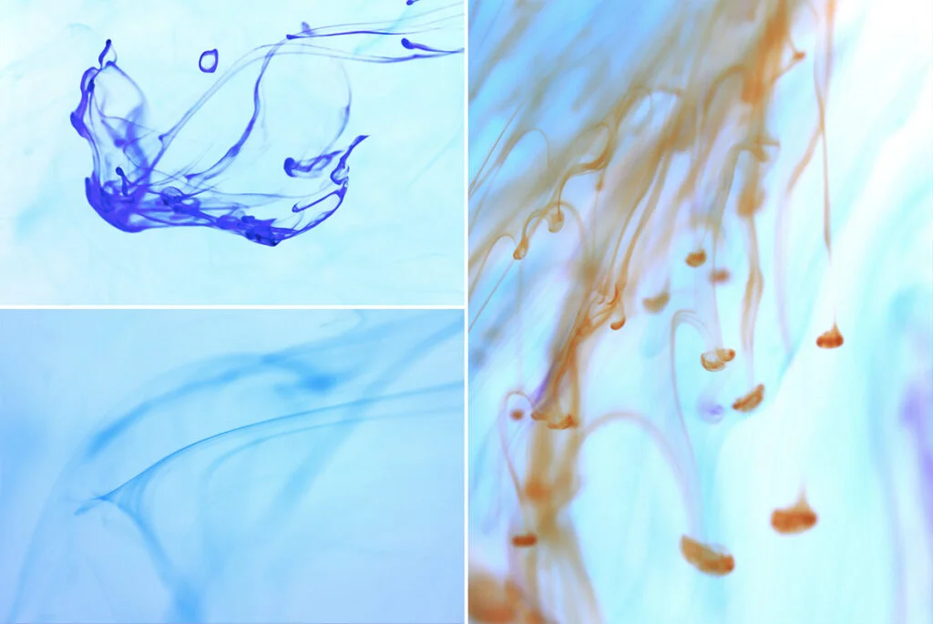 E4383_05.jpg E4383_05.jpg