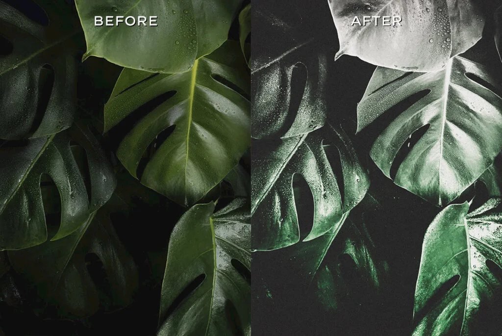 E4412_01.jpg E4412_01.jpg