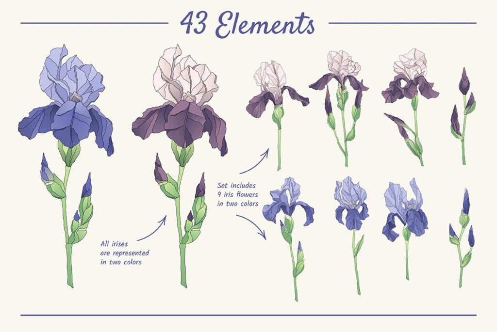 E4457_03.jpg E4457_03.jpg