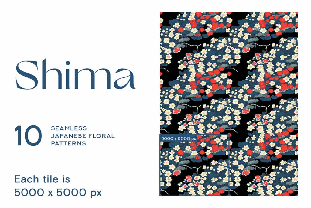 E9492_01.jpg E9492_01.jpg