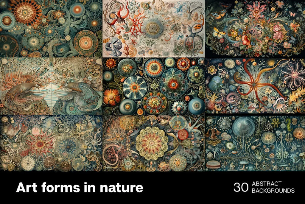 E9526_01.jpg E9526_01.jpg