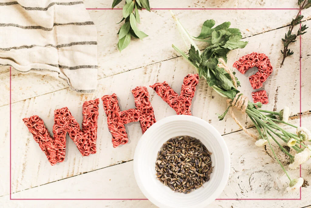 E3402_04.jpg E3402_04.jpg