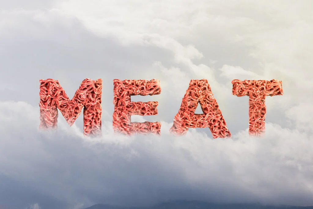 E3402_05.jpg E3402_05.jpg