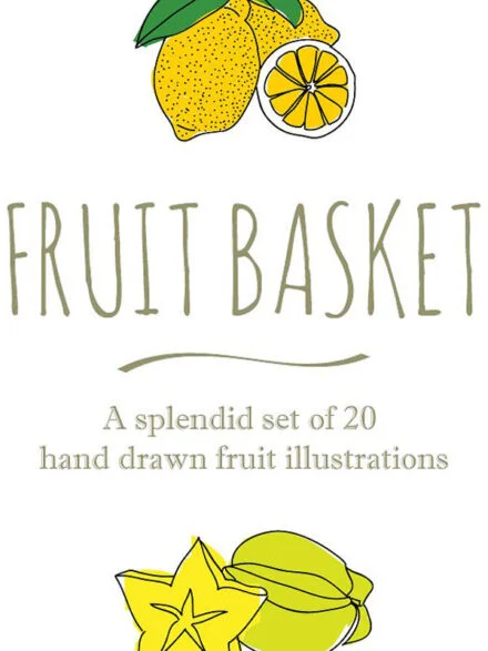 20 Hand Drawn Fruit Illustrations Graphics - Image 3