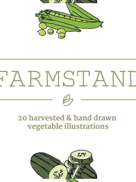 20 Handdrawn Vegetable Illustrations Graphics - Image 1