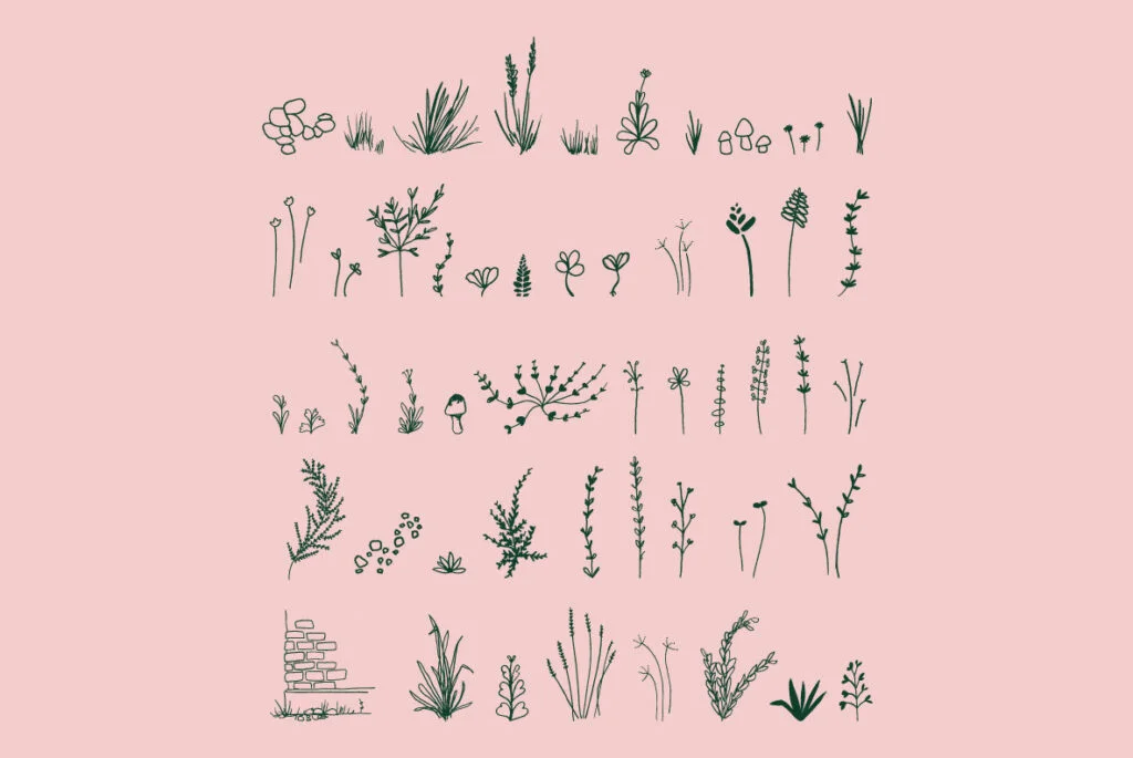 E3433_01.jpg E3433_01.jpg