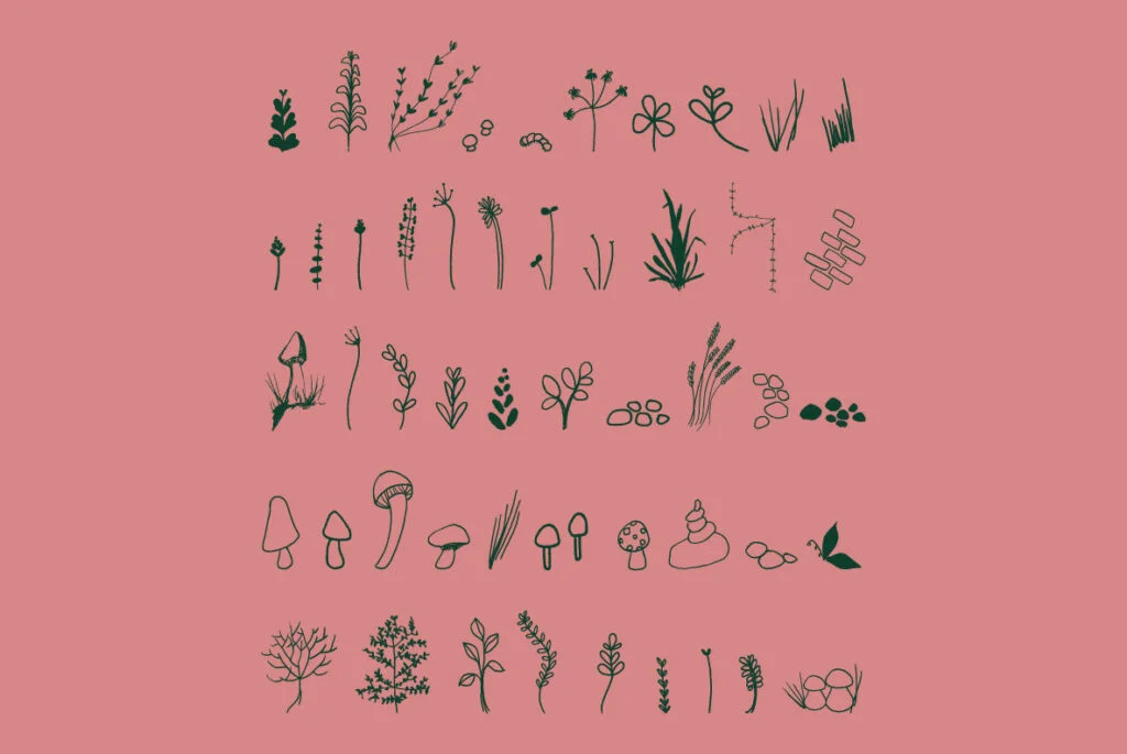 E3433_02.jpg E3433_02.jpg