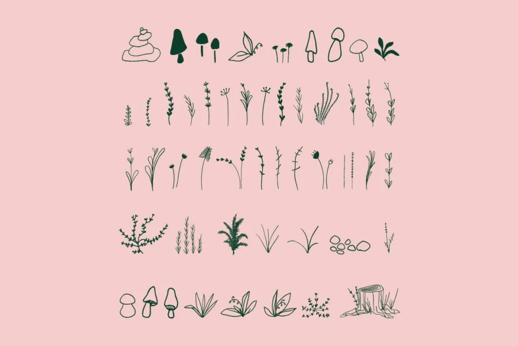 E3433_03.jpg E3433_03.jpg