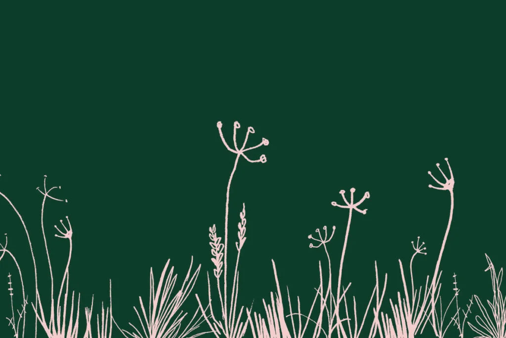 E3433_04.jpg E3433_04.jpg