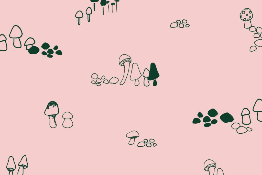 E3433_05.jpg E3433_05.jpg