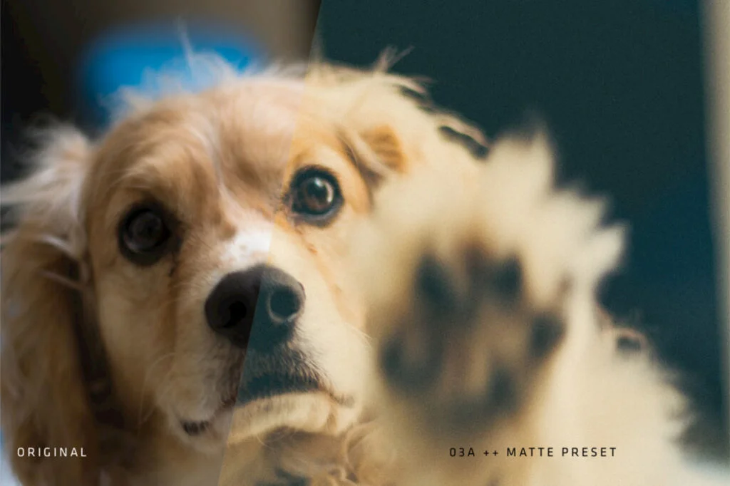 E3458_03.jpg E3458_03.jpg