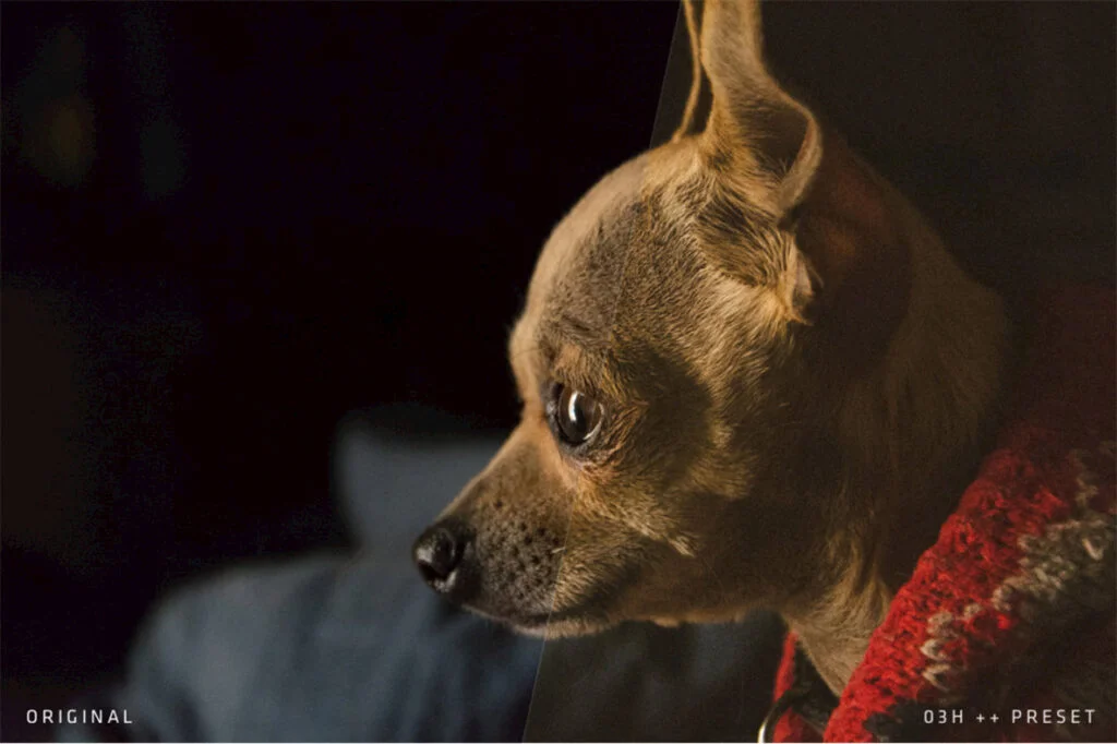 E3458_04.jpg E3458_04.jpg