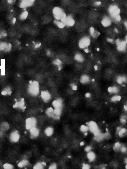 Bokeh Noir Graphics - Image 6