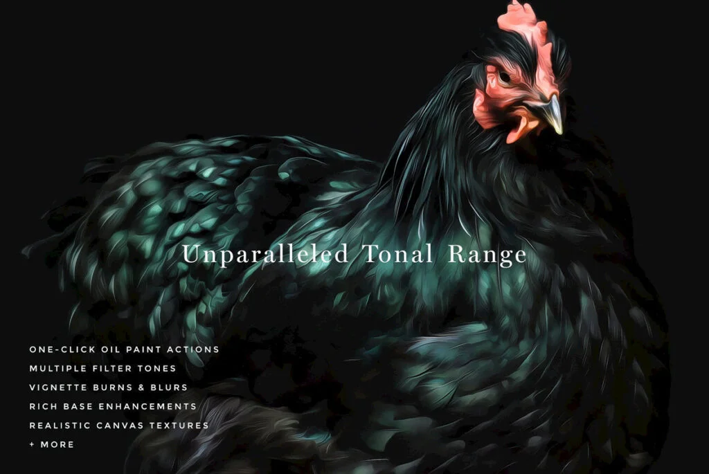 E3509_01.jpg E3509_01.jpg