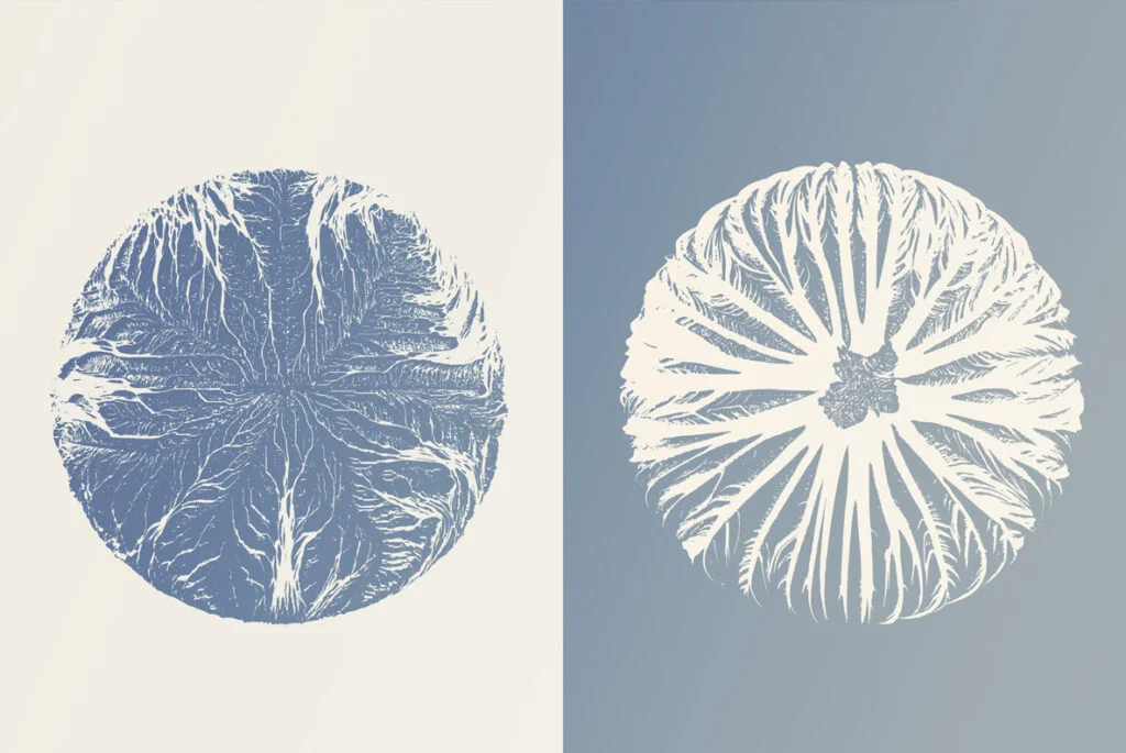 E3586_02.jpg E3586_02.jpg