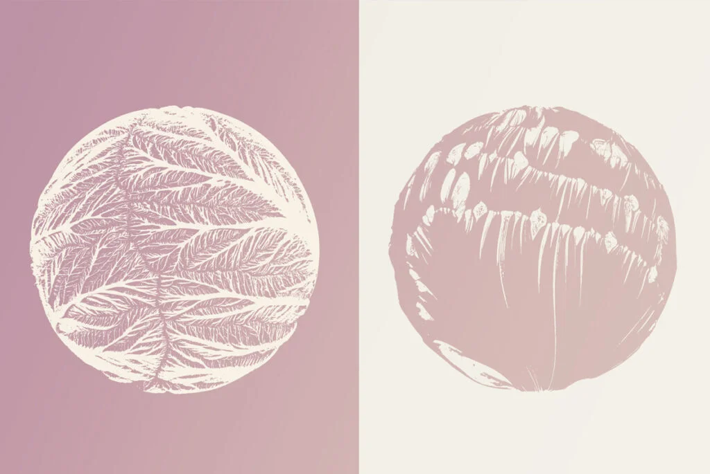 E3586_03.jpg E3586_03.jpg