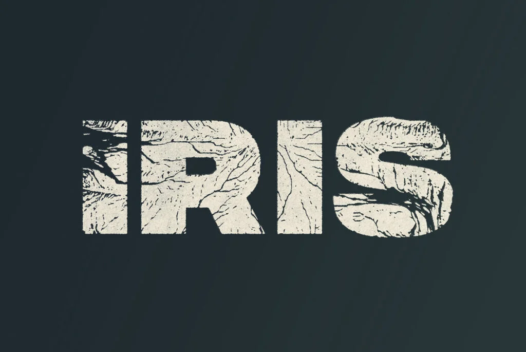 E3586_05.jpg E3586_05.jpg