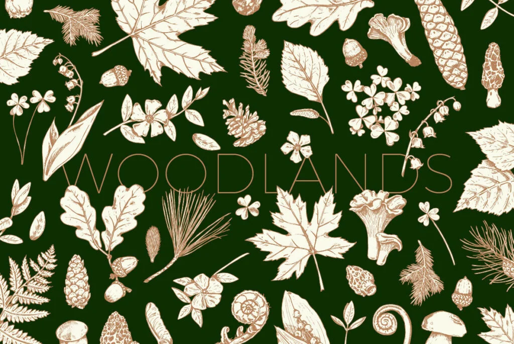 E3587_00.jpg E3587_00.jpg