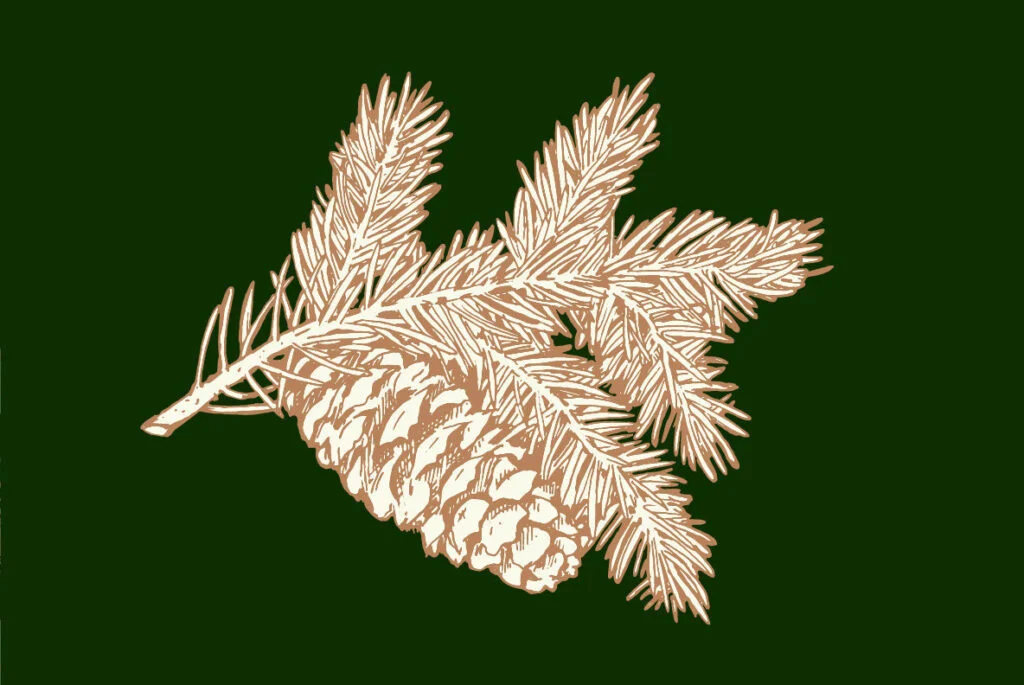 E3587_01.jpg E3587_01.jpg