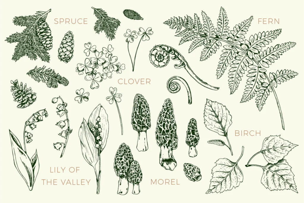 E3587_02.jpg E3587_02.jpg