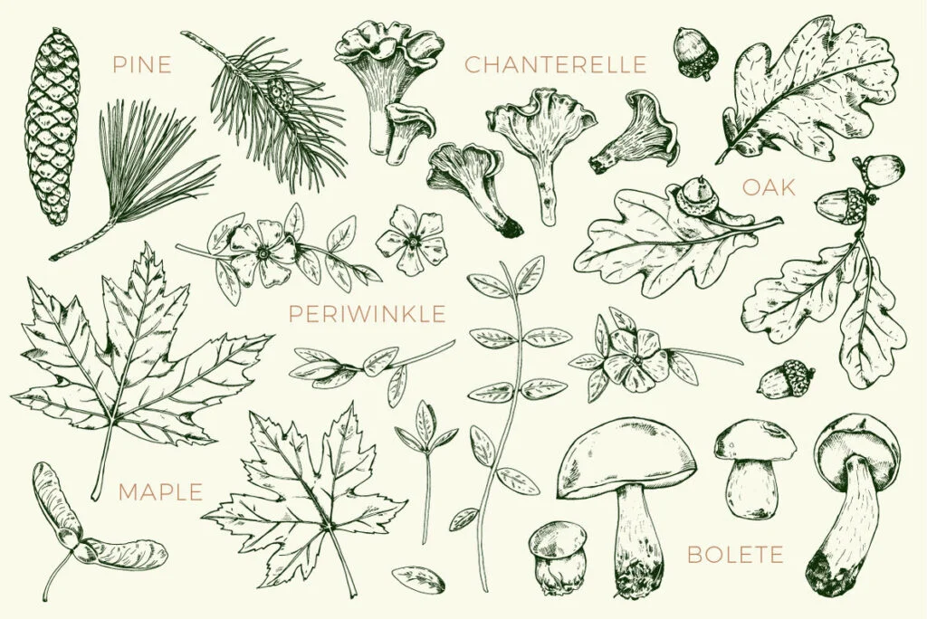 E3587_03.jpg E3587_03.jpg