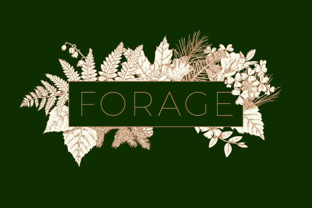 E3587_04.jpg E3587_04.jpg