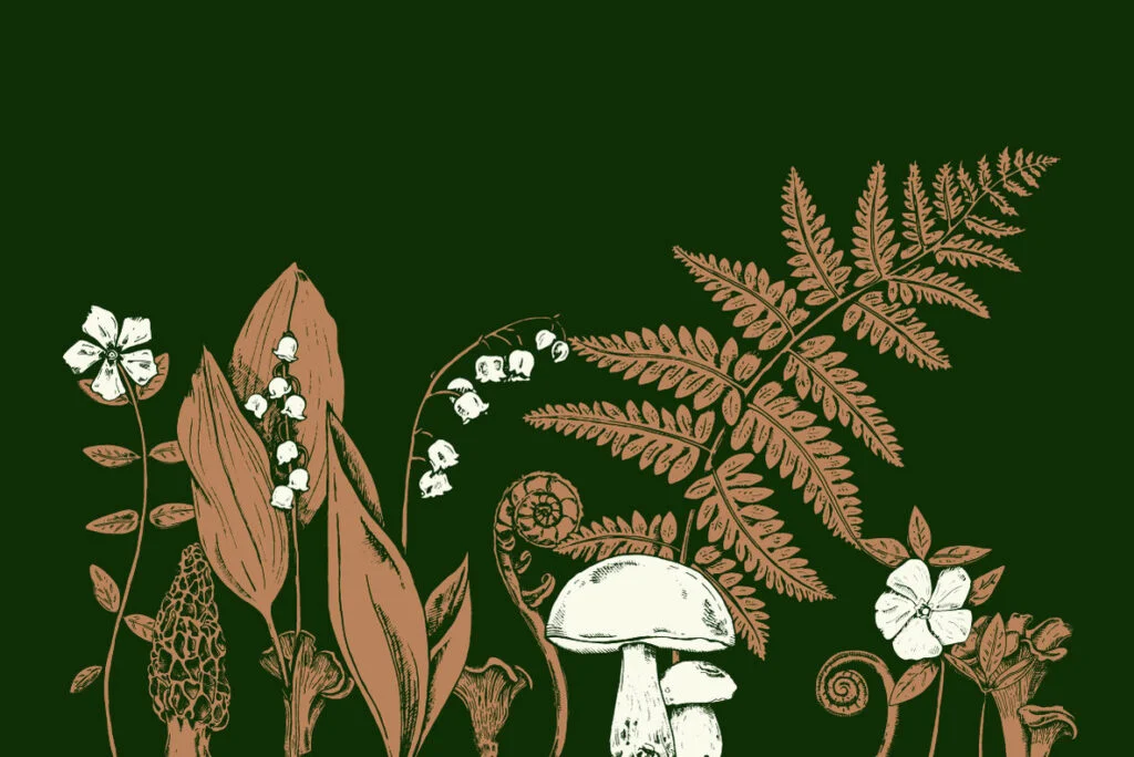 E3587_05.jpg E3587_05.jpg